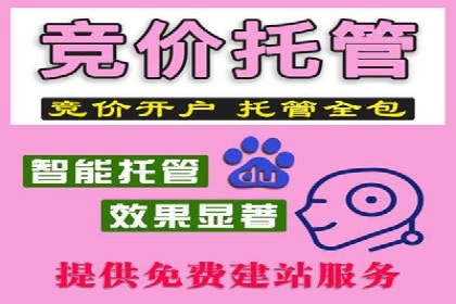 某公司如何利用SEO和SEM提升线上业务——真实案例分析