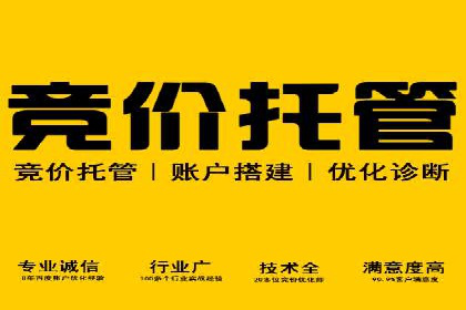 搜索引擎营销的新趋势——SEM竞价推广案例解析